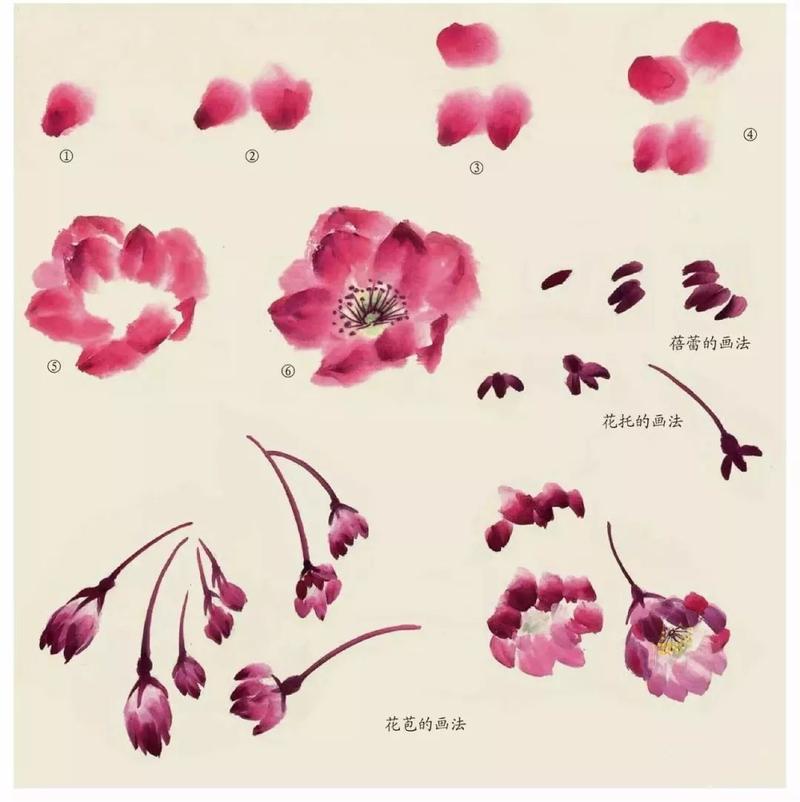 国画入门丨垂丝海棠的写意画法