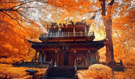 南京止马岭休闲2日游栖霞山红枫银杏解锁小众美景止马岭晨曦恋山草原