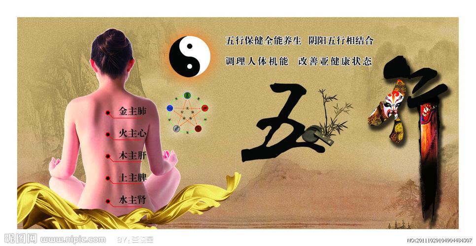 五行养生海报图片