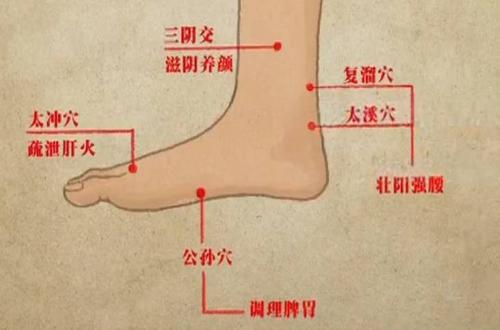 心脏心血心气不足,每天按摩这个穴位有效果
