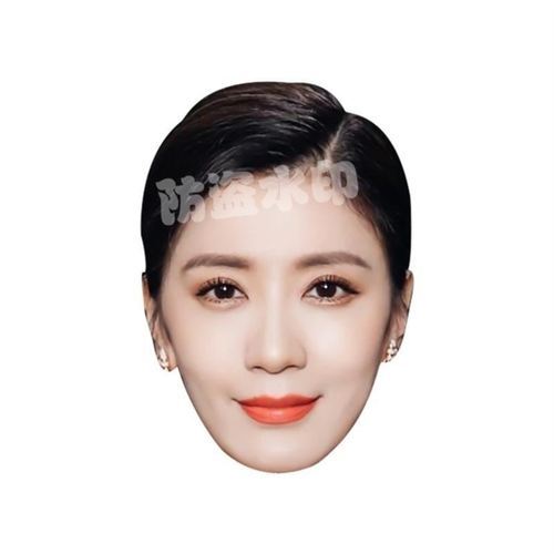 易容仿真人脸美女人脸面具明星易容男用圣诞节搞笑卡纸
