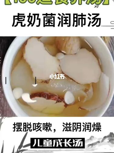 虎乳菌润肺止咳汤_止咳_润肺_红山六九七九商业中心自由行热门攻略