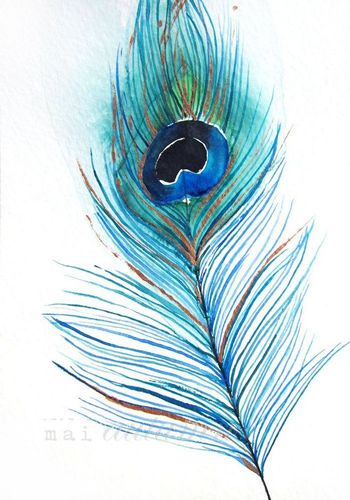 peacock feather ii - 8x10 print - new from mai