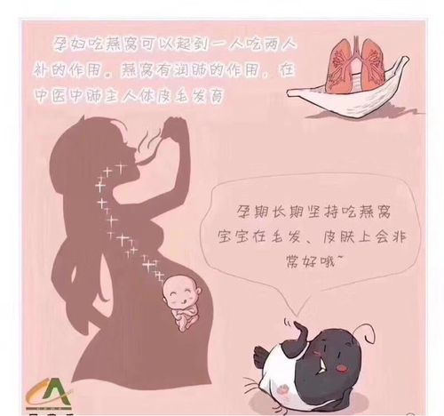 孕妇吃燕窝的好处