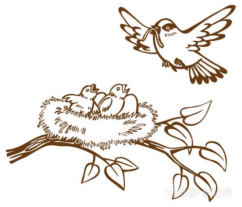 鸟巢和小鸡插画-正版商用图片09a9vv-摄图新视界