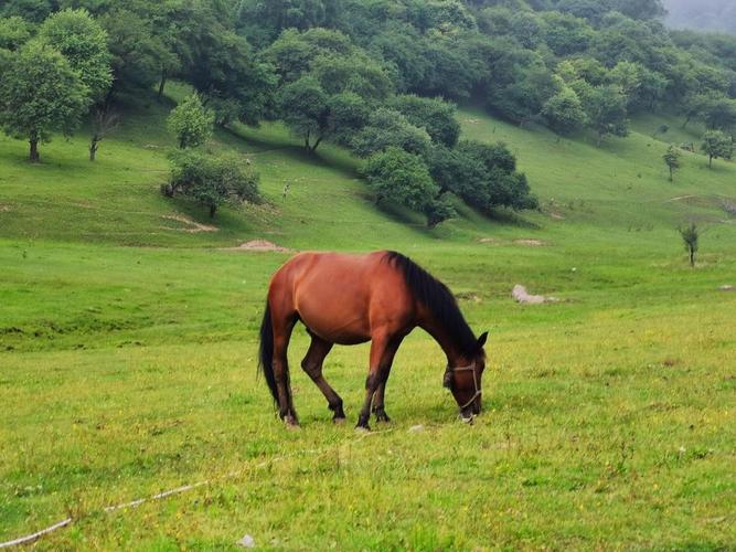 下载高清原图 查看清晰大图 扫描到手机 回车桌面 >