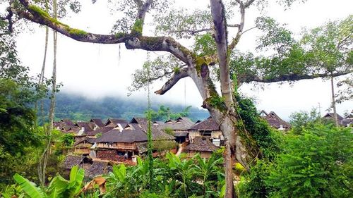 西双版纳傣族村寨.jpg (860×484)