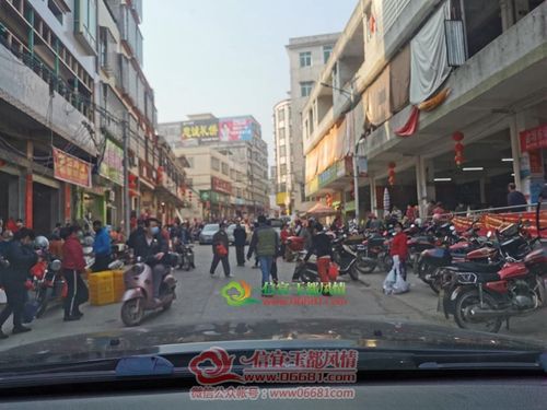 信宜玉都风情网-信宜金垌圩人流量多了起来接网友的报料:近日,信宜