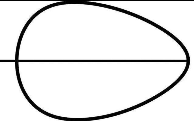 我们今天来认识图形,半圆形,椭圆形和卵形