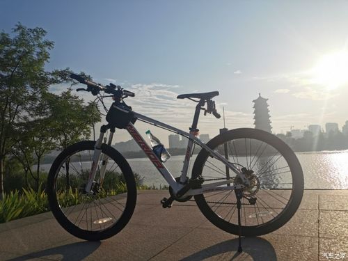 618入手美利达公爵300