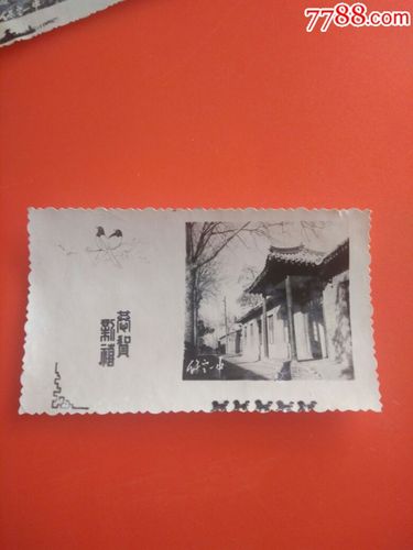 60年代河北保定一中老照片