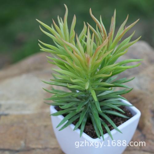 仿真多肉植物 松针 艺术插花花艺 植物墙相框多肉配材批发