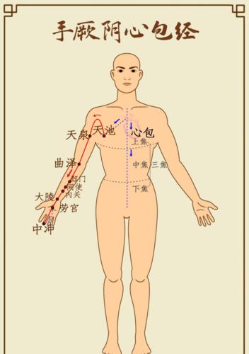 七,【手厥阴心包经】