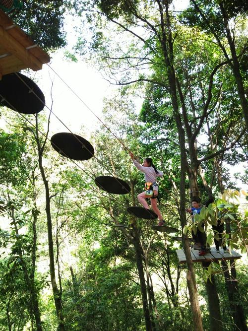 衢州柯城九华乡大荫山