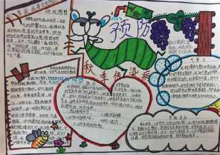 铲除生活中的四害手抄报 生活中的角手抄报-蒲城教育