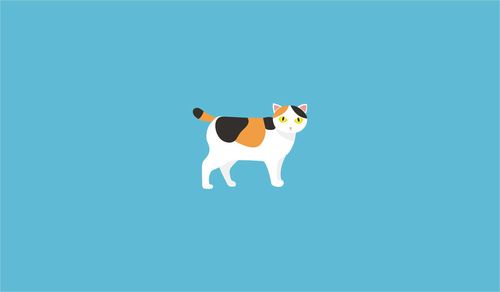 猫(cat)