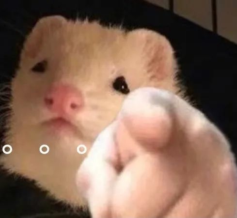 抖音超火的指人表情包 | 指到谁请我喝奶茶