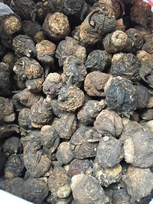 玛咖的作用与功效(关于雪鼎玛咖的营养保健和药理)