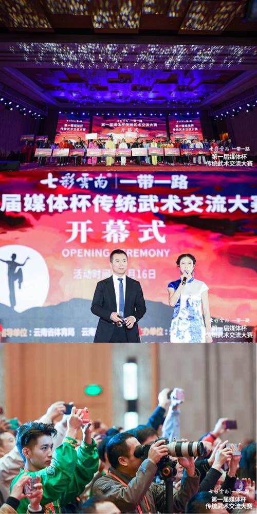大赛首日 国内外武术好手争夺激烈