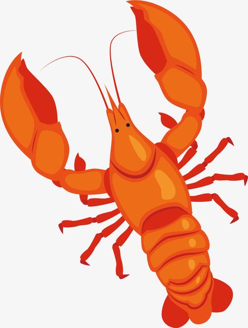 关键词 : 矢量图,卡通手绘,水彩,橘色,小龙虾,创意,红色