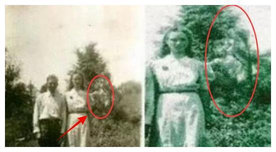 世界三大未解之谜大排行老照片中树上诡异鬼影真实照片无修图
