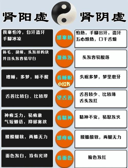 【一分钟分清,肾阳虚vs肾阴虚】_中医_肾虚_岭南回春堂·中医诊所