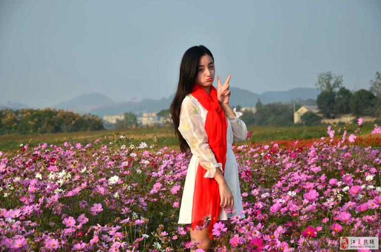 郑店薰香悦花海_摄影家园_江夏论坛_江夏热线