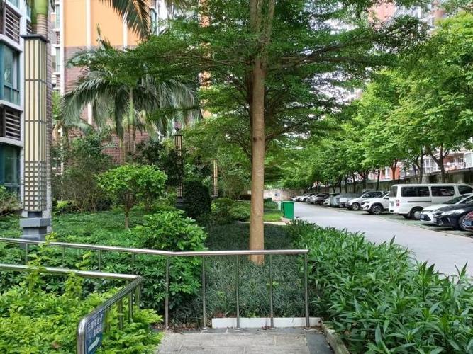 嘉逸花园楼中楼4房1厅出租价格950元月