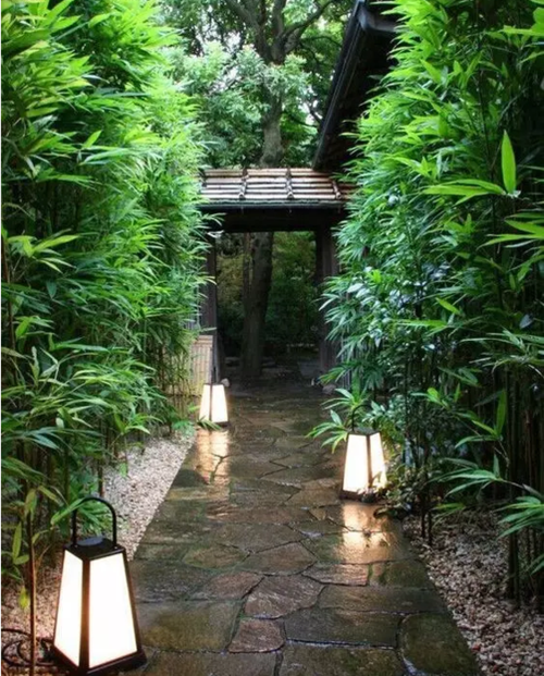别墅装修庭院景观竹子设计