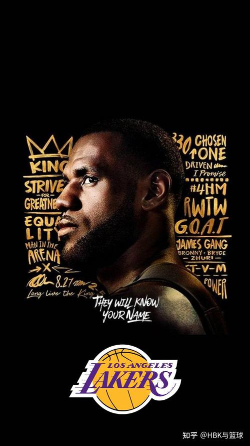 分享点詹姆斯壁纸