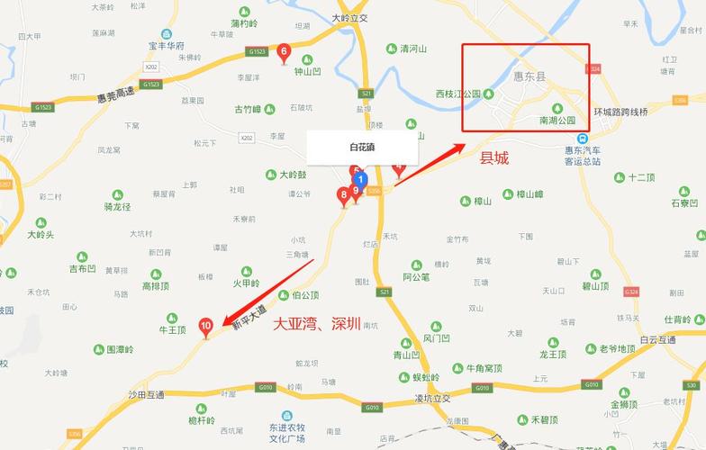 惠东县,白花镇,刘吉,半岛,市委,西枝江,博罗,惠州