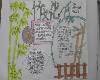 竹子小百科的手抄报 关于竹子的手抄报