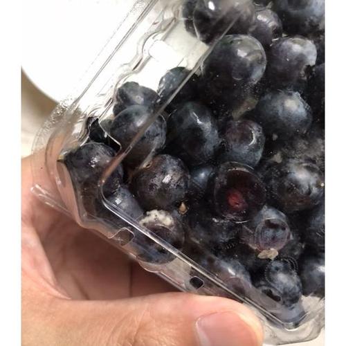 展卉国产蓝莓2盒装约125g盒新鲜水果