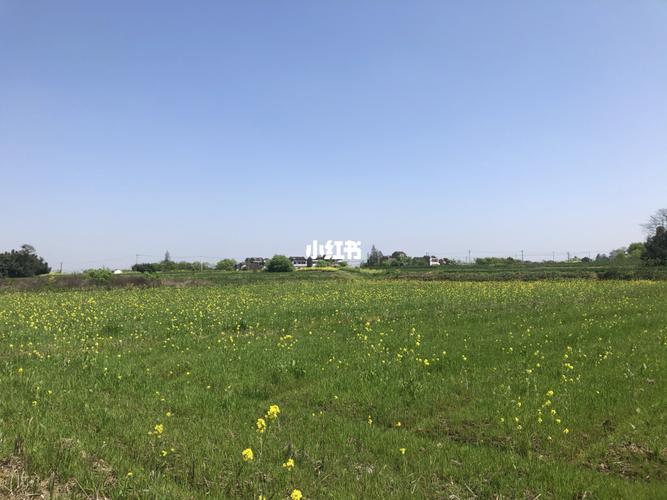 溧阳1号公路_别桥原乡花海攻略_景点_花海_出行_人文风光展示_旅行
