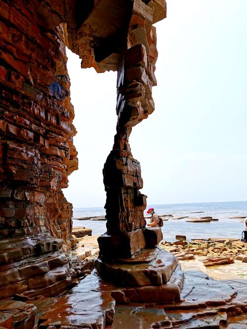 赵春茹诗意的海岸一大连排石采风纪实