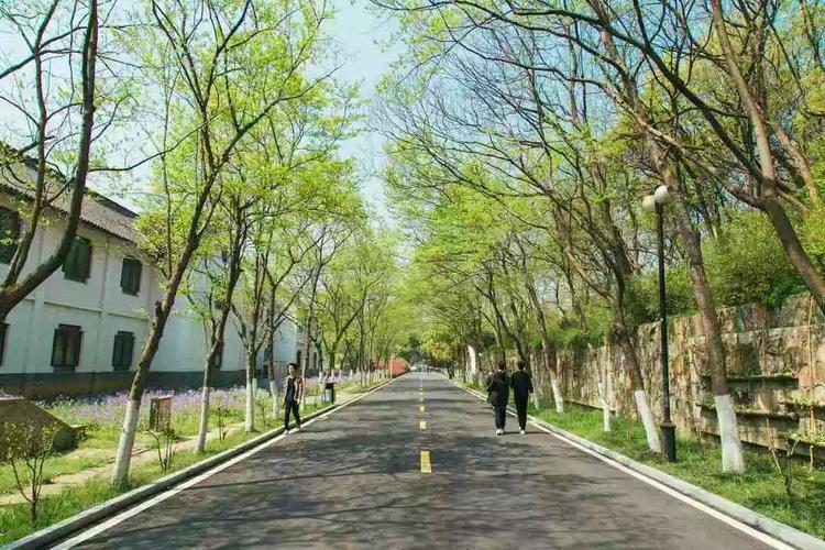  p>南京大学金陵学院(nanjing university jinling college),是经国家