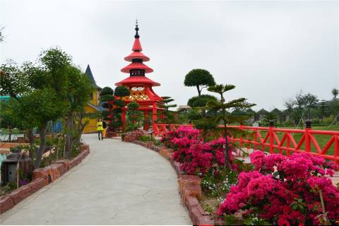 领略四季花海,10元购丹樱生态园门票!