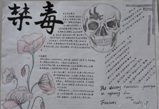 高中禁毒手抄报图片大全