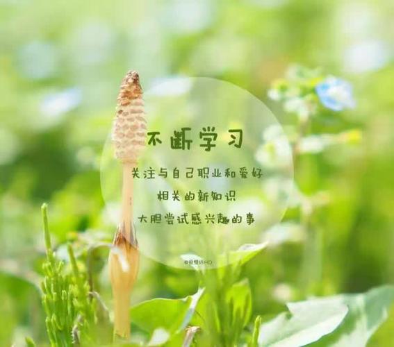 做自己的摆渡人