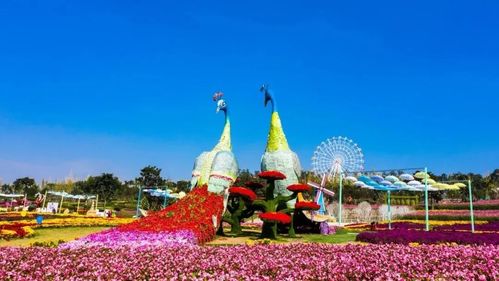 【新都·音乐百花谷·无需预约】小长假出游好去处!