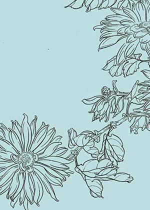 重阳节赏菊简笔画