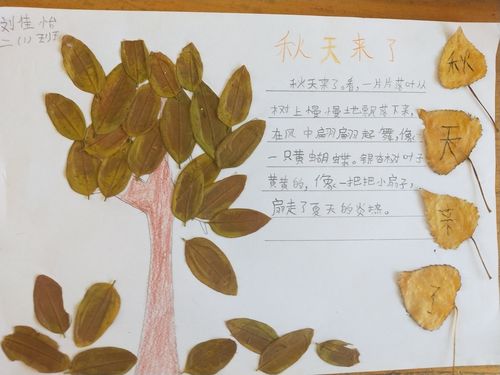 秋之韵——蠡县第二实验小学树叶绘本制作作品展