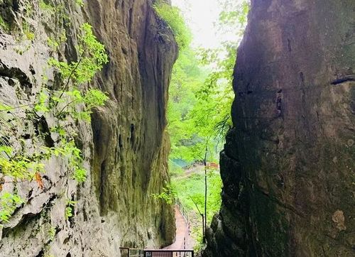发福利了武陵峡口生态旅游区峡谷观光免门票啦