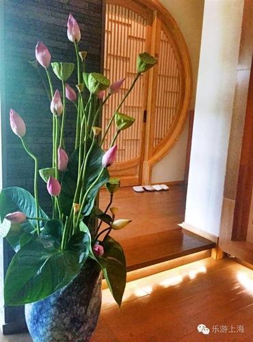 上海这些禅意浓浓的地方让你心静清凉