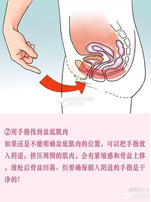 孕期产后可以做的凯格尔运动教程
