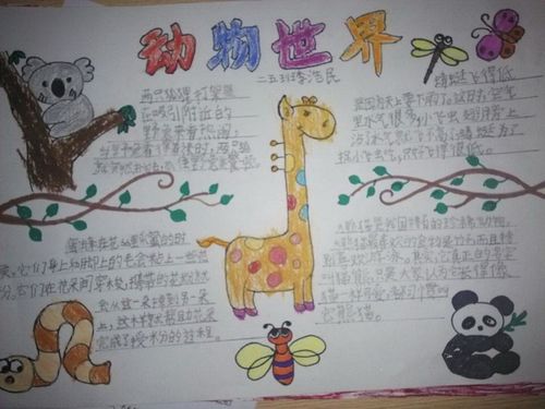动物世界手抄报图片大全