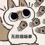 求点暹罗猫小豆泥的头像