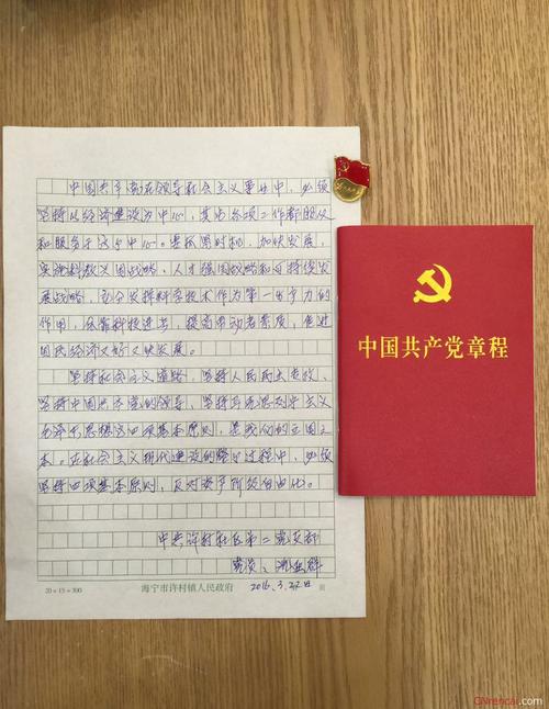 2021年党员两学一做手抄党章100天心得体会