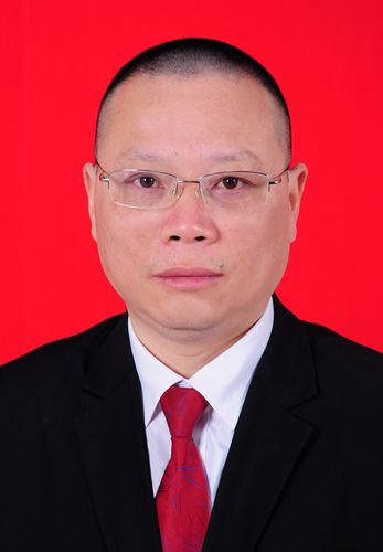 党组成员,副局长胡凯