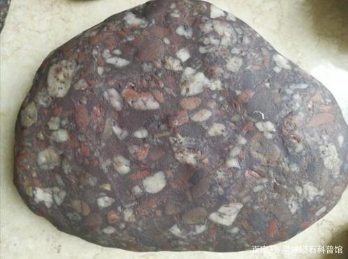 假月球陨石,水泡状气印或者角砾.